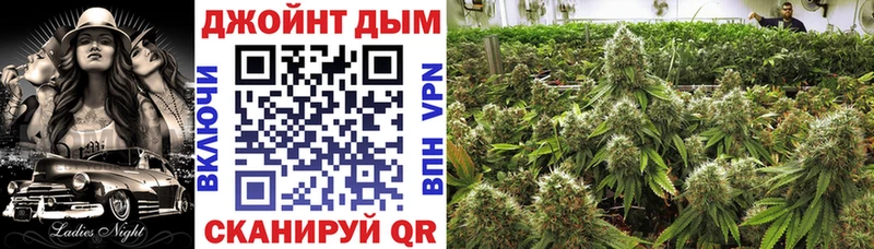 площадка клад Боровичи Шишки марихуана THC 21%